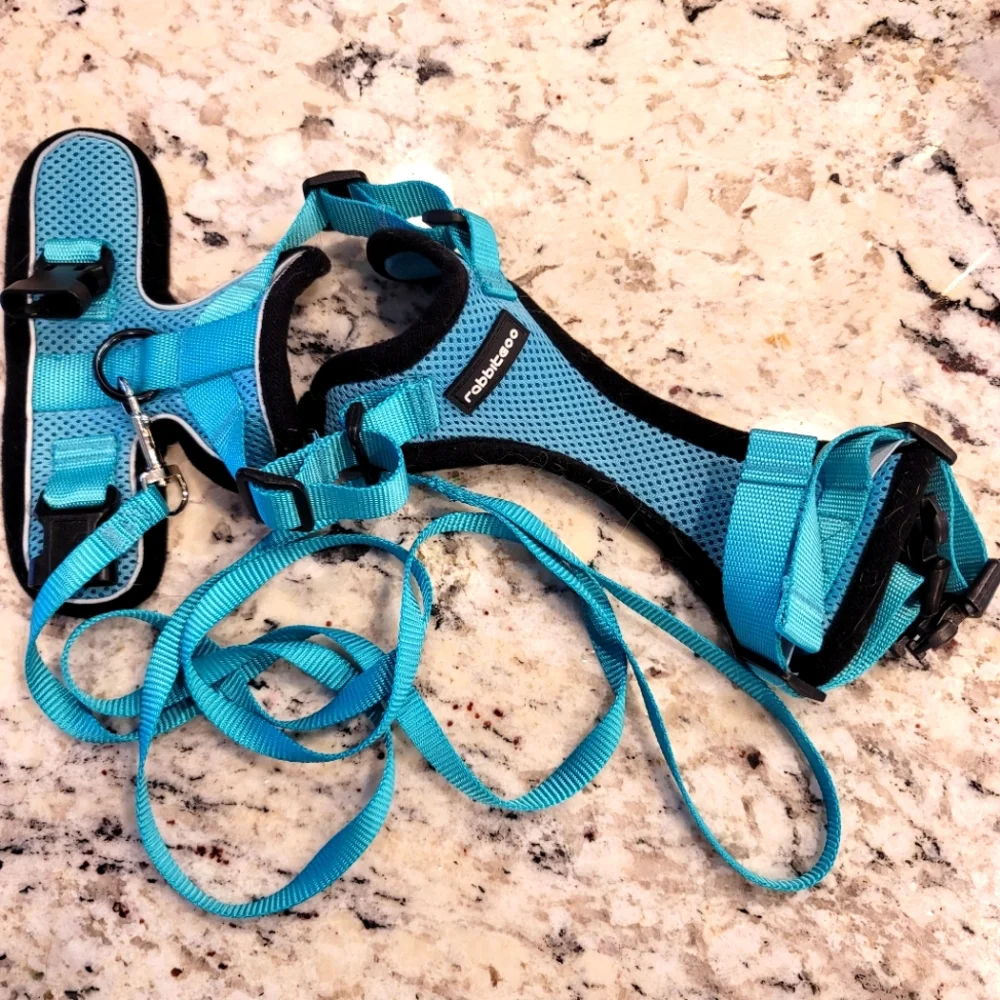 Cat harness lol